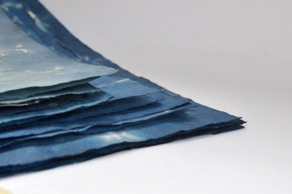 DSC_0716 - Version 2